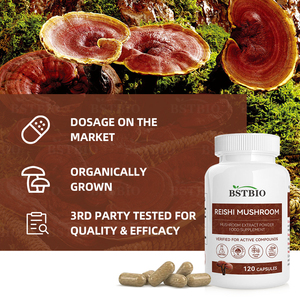 BSTBIO Suplementos Herbais Extrato De Cogumelo <span class=keywords><strong>Reishi</strong></span> Orgânico Ganoderma Lucidum Cápsulas - Product Image 4