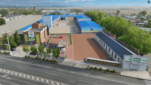 सफेद क्विनोआ के बीज कार्बनिक प्रमाणित कम गी सुपरफूड वजन प्रबंधन और शिशु भोजन के लिए आदर्श - Product Image 6