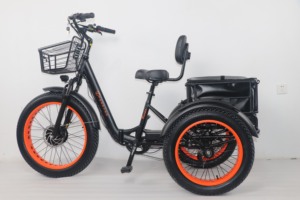 <span class=keywords><strong>Bicicleta</strong></span> eléctrica de tres ruedas, <span class=keywords><strong>bicicleta</strong></span> eléctrica de tres ruedas para adultos, <span class=keywords><strong>bicicleta</strong></span> eléctrica de tres ruedas, venta en Europa y América - Product Image 4