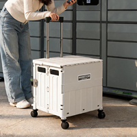 Chariot de transport pliable à roulettes en PP, personnalisable, pour usage domestique et cuisine, capacité 45L, écologique, pour les courses