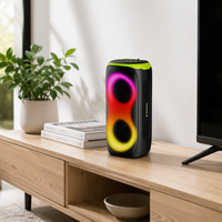 Enceinte trolley robuste IPX7, OEM ODM, moule personnalisé, logo sur mesure, faible MOQ, CE RoHS, usine audio