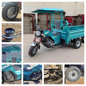 Tricycle à essence 3 roues 2026 le plus récent pour passagers et marchandises avec auvent, tricycle motorisé double usage avec abri contre la pluie - Product Image 2