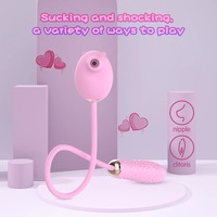 Vibrateur clitoridien à succion avec télécommande filaire, œuf d'amour en silicone texturé, stimulateur vaginal du point G, stimulation double silencieuse, jouet sexuel pour femmes