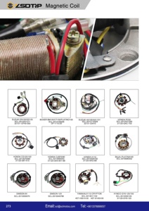 Bán buôn 8 cực <span class=keywords><strong>Magneto</strong></span> <span class=keywords><strong>Stator</strong></span> Máy phát điện từ cho xe máy đường phố wy150 horse150 <span class=keywords><strong>Stator</strong></span> cuộn dây đánh lửa - Product Image 2