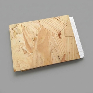 <span class=keywords><strong>Panel</strong></span> Sándwich Aislante de Espuma EPS para Construcción, <span class=keywords><strong>Panel</strong></span> SIP <span class=keywords><strong>con</strong></span> Aislamiento <span class=keywords><strong>OSB</strong></span> para Paredes Interiores y Exteriores de Casas Prefabricadas - Product Image 2