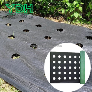 Tela de paisaje biodegradable PE/PP/<span class=keywords><strong>red</strong></span> tejida de plástico UV para control de malezas cubierta de suelo corte de propiedades <span class=keywords><strong>antihierba</strong></span> - Product Image 6