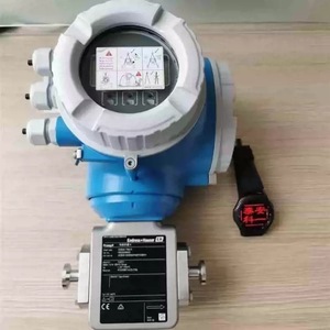 เครื่องวัดอัตราการไหลแบบวอร์เท็กซ์ Endress+Hauser รุ่น 11000mh สำหรับไอน้ำ แบบหน้าแปลน สแตนเลส 12-24VDC ความแม่นยำสูง - Product Image 1