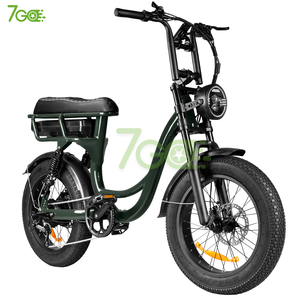 电动自行车 7 速宽胎后轮毂电机 48V 250W 20 英寸液压刹车 储物仓电动自行车 - Product Image 2