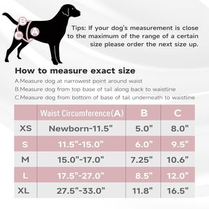 Culotte/culotte-culotte pour chienne en polyester écologique lavable – Sous-vêtements pour chien - Product Image 5