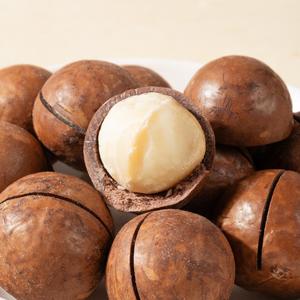 Noix de macadamia entières séchées brutes importées d'Australie 10KG Grande taille OEM & <span class=keywords><strong>Export</strong></span> certifiées - Product Image 6