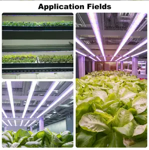 Hydroponics Plant Grow LED IP65 Full Spectrum 18W 24W 6400K 9000K T8 LED Tube Indoor Grow LED Light