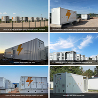 SunArk 5MWh Kabinet Penyimpanan Energi BESS Terkontainerisasi untuk Industri & Komersial dengan Pendingin Cair untuk Proyek Mikrogrid Skala Utilitas
