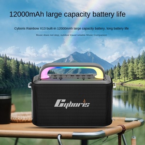 Cyboris X13 Rainbow K-Song 2.0 canale Home Theatre altoparlante 300W batteria ad alta potenza IPX4 impermeabile RGB LED - Product Image 5