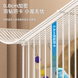 Piccola gabbia per uccelli domestici per pappagalli, agaporni, parrocchetti, uccelli perlatochi e altri uccelli di piccola taglia - Product Image 3