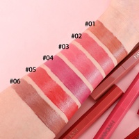 Ensemble de rouges à lèvres hexagonaux à pointe oblique, 6 couleurs, hydratant, longue durée, kit cosmétique de maquillage pour les lèvres crémeux et veloutés pour femmes