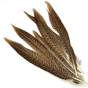 Piume di coda di fagiano anello (Ringneck) naturali all'ingrosso, lunghezza 10-80 cm (4-32 pollici), per decorazioni fai da te - Product Image 6