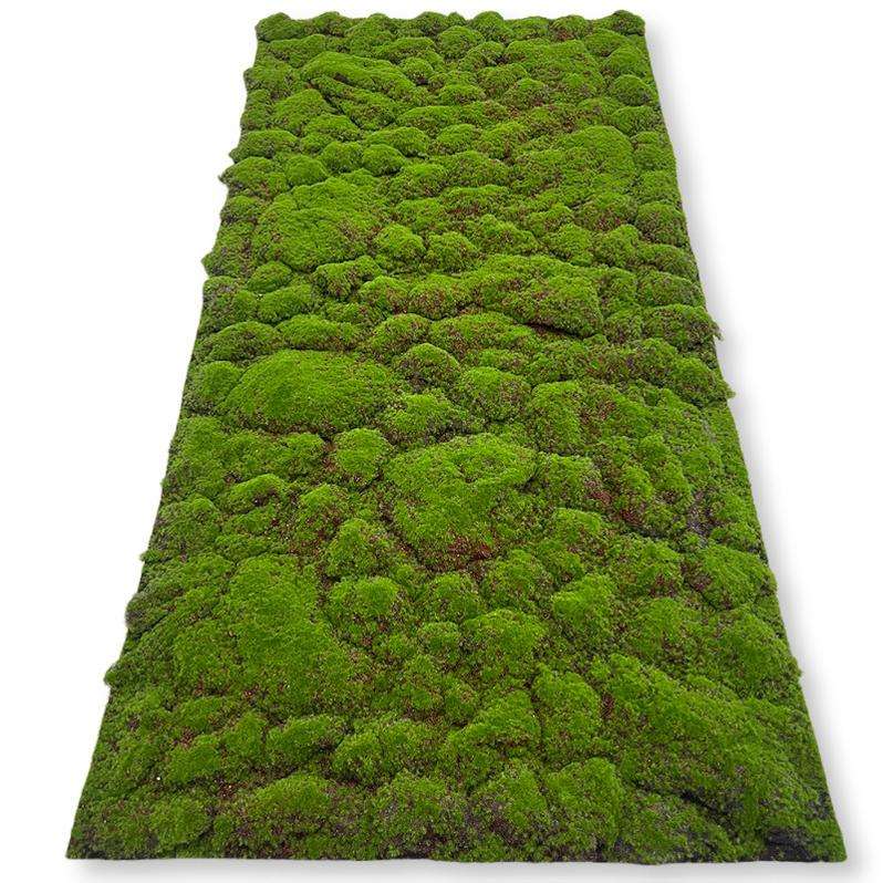 La colline - cryptée avec un fond rouge