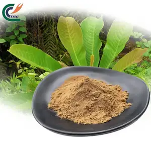 Hot Sale Magnolia Officinalis Bark Seed Extract 100:1 Powder