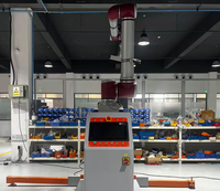 Système de palettisation automatique à robot cartésien sur portique fixe en aluminium, pour l'empilage de cartons et de sacs, palettiseur de fin de ligne
