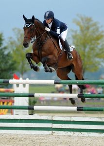 Kit Profesional de Obstáculos para Salto Ecuestre con Estructuras Resistentes y Barandillas Brillantes para Clubes Ecuestres y Arenas - Product Image 3