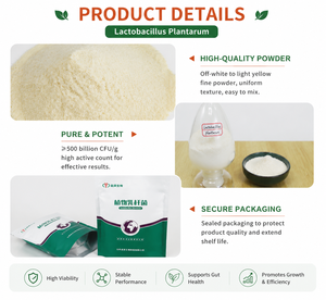 Poudre Probiotique <span class=keywords><strong>Lactobacillus</strong></span> Plantarum pour Additif Alimentaire Bétail & Volaille Améliore la Digestion, l'Immunité et l'Utilisation des Aliments - Product Image 5