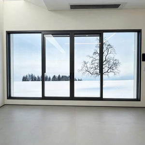 หน้าต่างบานเลื่อนแนวตั้งแบบกำหนดเองของ DEEZON กระจกนิรภัยสองชั้น อลูมิเนียมอัลลอยด์ภายนอก ไร้เสียงรบกวน สแตนเลสสตีล สำหรับโรงแรม - Product Image 2