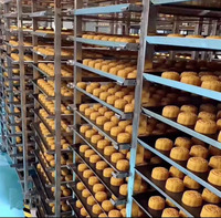 Four de séchage personnalisé cuisson du pain chariot de boulangerie métal revêtement en téflon plateau en tôle d'acier inoxydable moule à gâteau