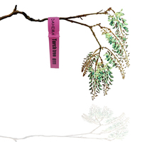 100 étiquettes de plantes en plastique amusantes pour jardinage, marqueurs de pots, étiquettes nominatives, étiquettes de nom, étiquettes pour arbres, pépinières et jardins
