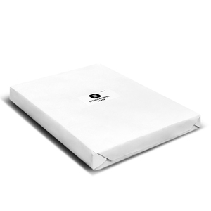 Feuilles <span class=keywords><strong>de</strong></span> pochoir <span class=keywords><strong>de</strong></span> papier <span class=keywords><strong>de</strong></span> transfert <span class=keywords><strong>de</strong></span> <span class=keywords><strong>tatouage</strong></span> blanc blanc <span class=keywords><strong>carbone</strong></span> thermique PUNK A4 pour Printers-500pcs/sac à jet d'encre - Product Image 4