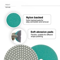 SHDIATOOL Disque de polissage diamanté à résine de qualité A, 4 pouces/100 mm, pour le ponçage humide des carreaux, du granit, du marbre, de la pierre et du quartz