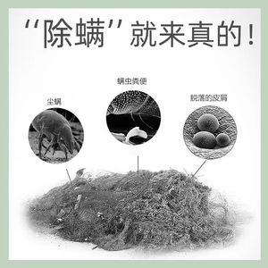 Yfs D608 Mite Remover With Uv Function For Bedding And Air Purification Portable Electric Green - Product Image 4