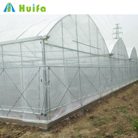 Cadre en métal Agriculture Serre Tunnel Serre Avec Système Hydroponique Pour La Culture De Tomates