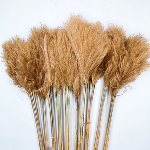 ZanTe-flores decorativas para boda, paquete de 20 tallos de flores, Pogonatherum cronitum grass para decoración de jarrones, venta al por mayor, 2022 - Product Image 6