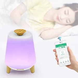 Smart Tuya App control humidifier with sound control