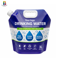 Sac d'emballage souple personnalisé pour liquides et jus, avec bec verseur et poignée de transport, pour eau potable, 3L 5L, usage extérieur
