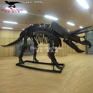 선사 시대 동물 공룡 해골 판매