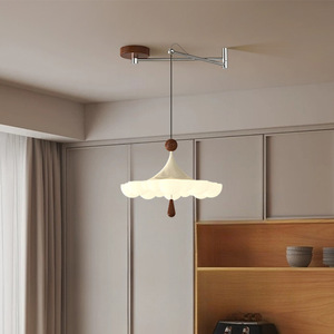 Nouveau modèle 2025 – Suspension réglable en fer et plastique, couleur noyer, pour restaurant, 220V - Product Image 2