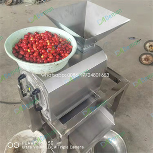 Máquina para Hacer Pulpa de Frutas, <span class=keywords><strong>Precio</strong></span> de Fábrica, para Longan, Lichi, Fresa, Bayas, Manzana, Kiwi, Ciruela, Uva - Product Image 3