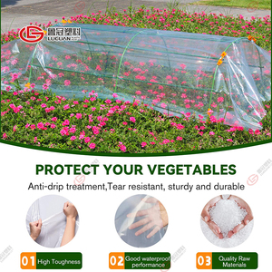 Film de serre en PE avancé pour la préservation de la chaleur et la diffusion de la lumière, avec protection anti-UV et longue durée de vie - Product Image 6