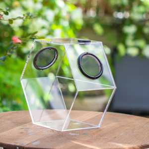 Terrario Esagonale Extra Large con Ventole in Rete, Contenitore Impermeabile per Uso Domestico con Fiori Artificiali - Product Image 5