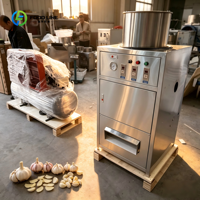 Machine à éplucher l'ail de qualité alimentaire en acier inoxydable 220V