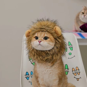 Chapeau pour animaux de compagnie en forme d'ours mignon, vêtements pour chat, chapeau d'hiver, fabricant de vêtements pour animaux de compagnie, design mignon, chapeau pour petit <span class=keywords><strong>chien</strong></span> et chat - Product Image 2