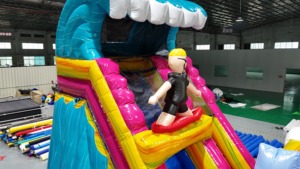 Scivolo Gonfiabile Commerciale per Acqua a Tema Surf, Scivolo Gonfiabile da Esterno per Feste di Bambini - Offerta Speciale - Product Image 2