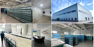 Boyaux naturels secs d'origine usine, <span class=keywords><strong>prix</strong></span> de gros direct usine - Product Image 2