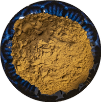 Extrait d'écorce de Quillaja Saponaria en gros, poudre d'extrait végétal naturel pour additif alimentaire