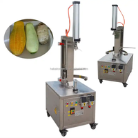 Ananas Schilmachine Wintermeloen Papaya Watermeloen Schiller met Motor voor Fruit & Groenten 380V