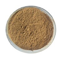 Zhengdi factory – supplément de santé pour hommes et femmes, extrait de racine de Maca noir en poudre