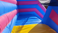 Château gonflable géant pour chien avec toboggan aquatique, nouveau design, en PVC, capacité supérieure à 500 kg, garantie 3 ans