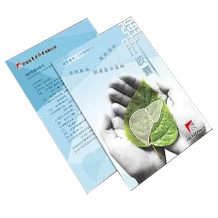 Spezial isierte Lieferanten a3 Flyer Druckpapier Broschüren Drucken von Werbe flyern
