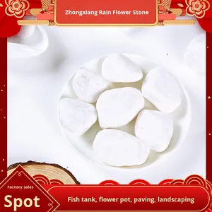 Confezione da 20kg di ciottoli di pietra naturale bianca <span class=keywords><strong>per</strong></span> vasi succulenti cortile abbellimento decorazione acquario pioggia bianca fiore pietre - Product Image 3